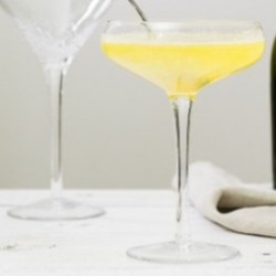 Bellini - Cocktail Prosecco...